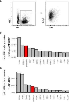 Novel Combination of Surface Markers for the Reliable and Comprehensive Identification of Human Thymic Epithelial Cells by Flow Cytometry: Quantitation and Transcriptional Characterization of Thymic Stroma in a Pediatric Cohort